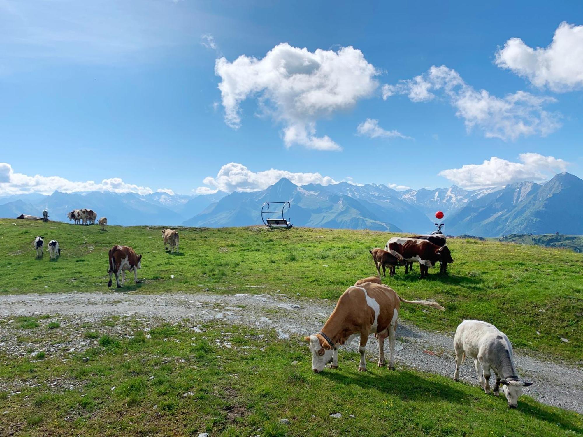 Schneekarhuette Hotel Mayrhofen Luaran gambar